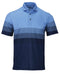 Blue Heather